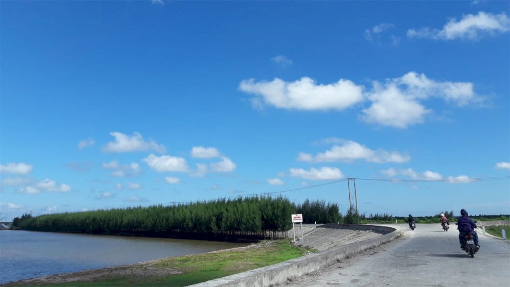Đường đến Cồn Vành